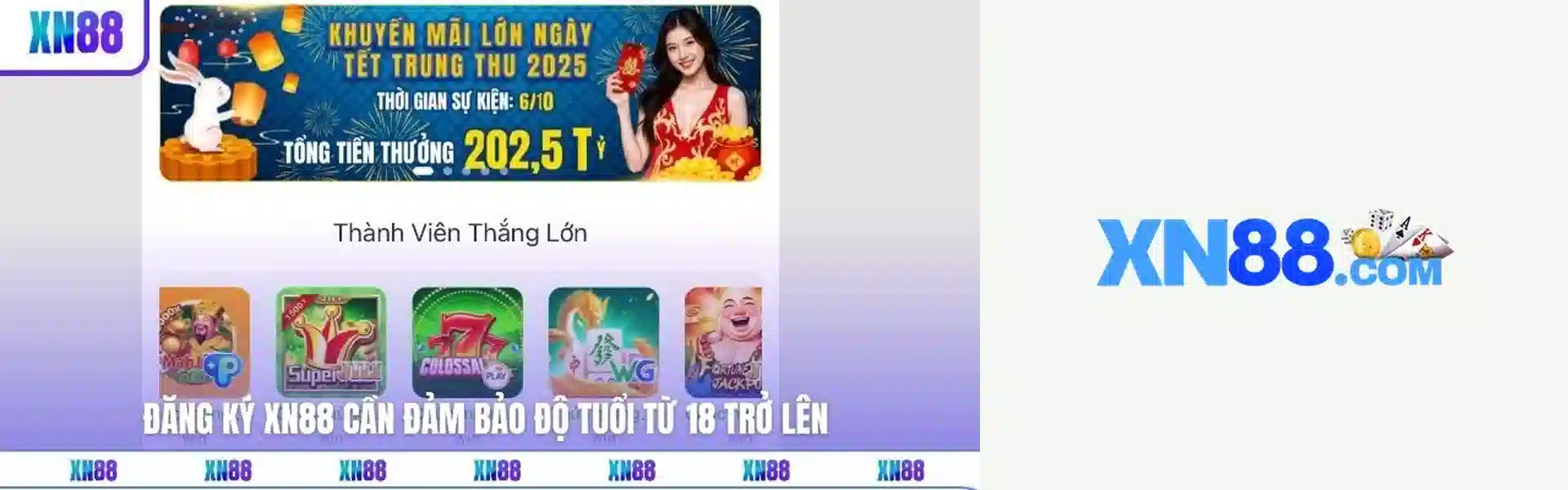 Banner XN88