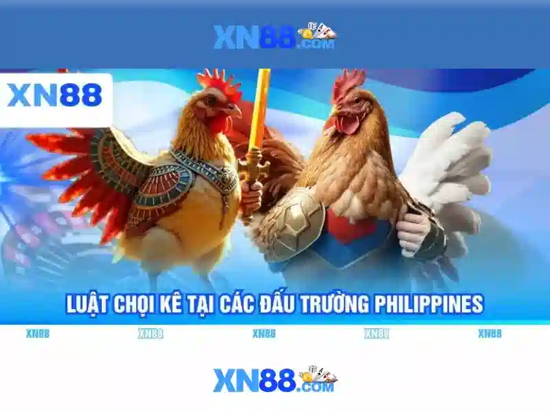 Giới thiệu về xn88