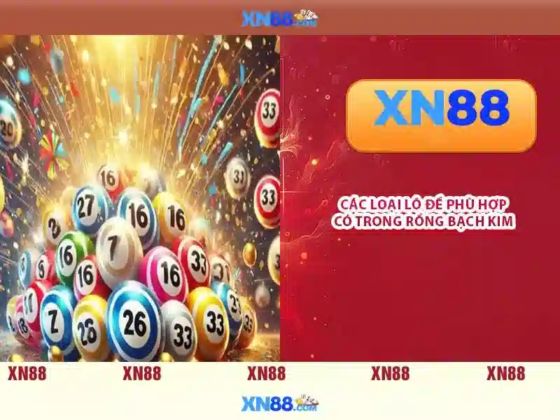 xn88 là gì?