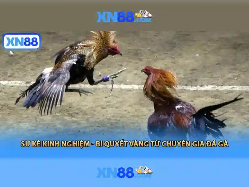 Người chơi đang thao tác đặt cược lô đề trên điện thoại tại xn88