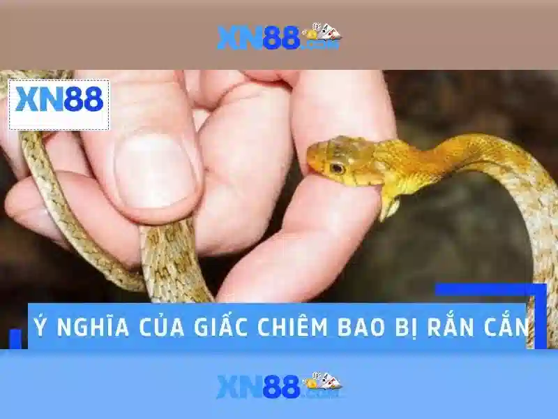 chien-luoc-co-ban