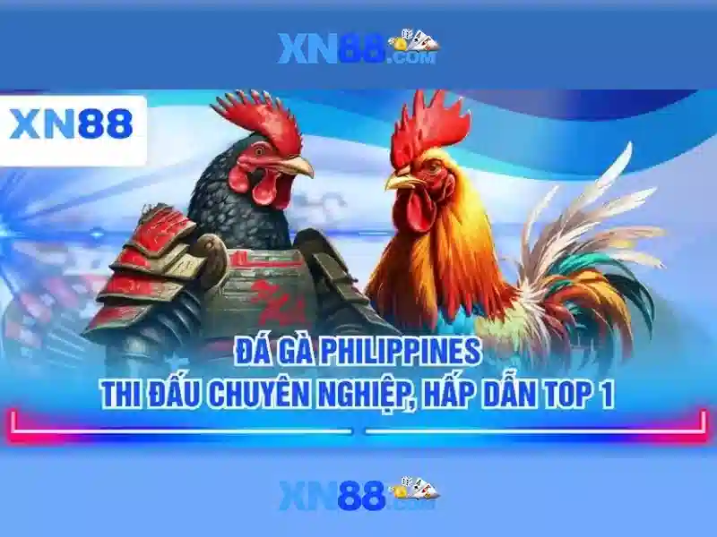 Các tính năng nổi bật