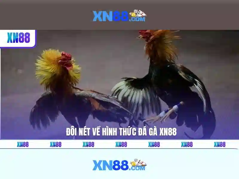 Khuyến mãi và thưởng