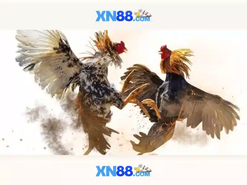 baccarat xn88