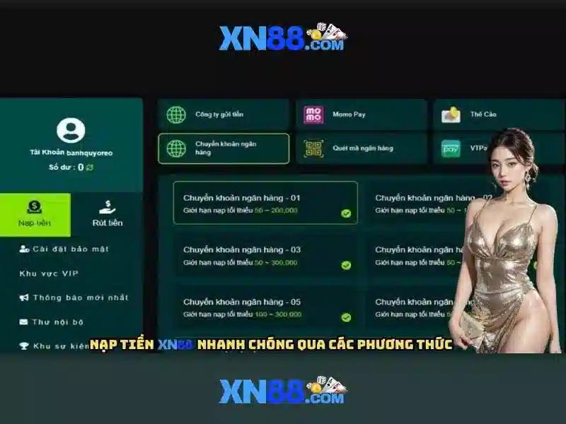 Giấy phép và an toàn thông tin