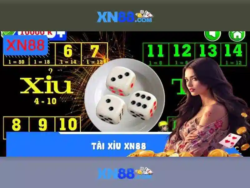 Trải nghiệm người dùng và hỗ trợ