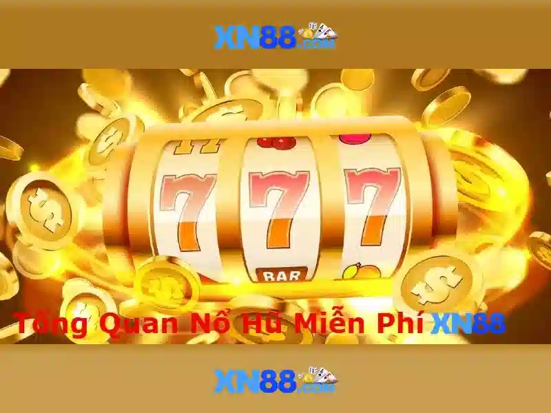 Tại sao người dùng chọn Xn88?