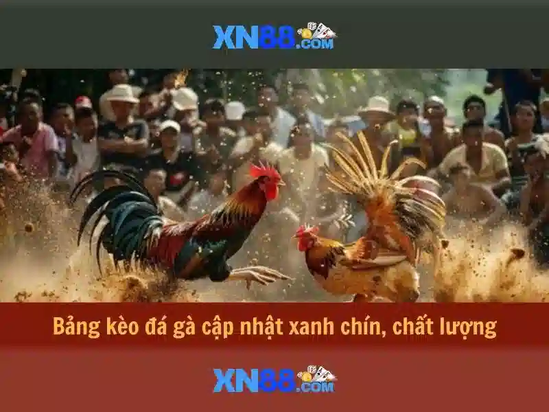 Giao diện và trải nghiệm người dùng