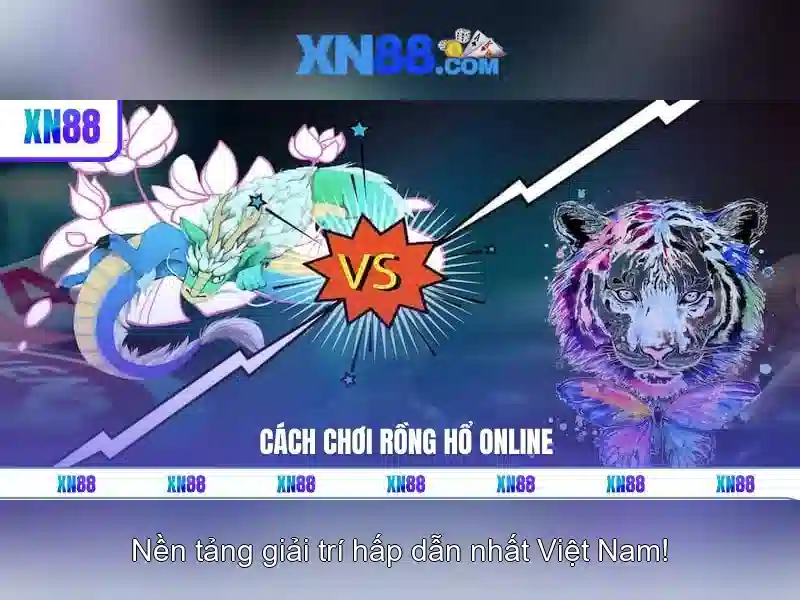 Giới thiệu về xn88