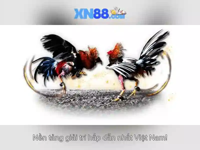 baccarat xn88