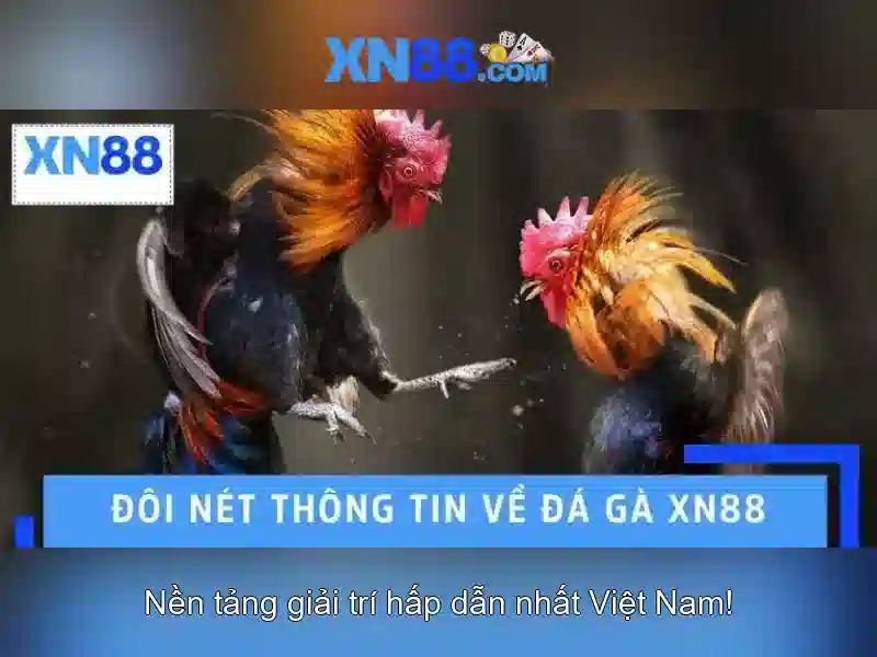 Cách hoạt động của xn88