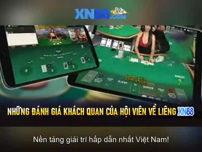 Hệ thống thanh toán và hỗ trợ người chơi