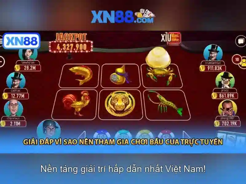 Dịch vụ và trải nghiệm người dùng
