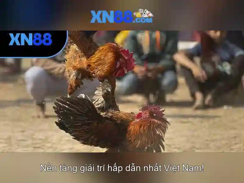 An toàn và pháp lý khi tham gia xn88