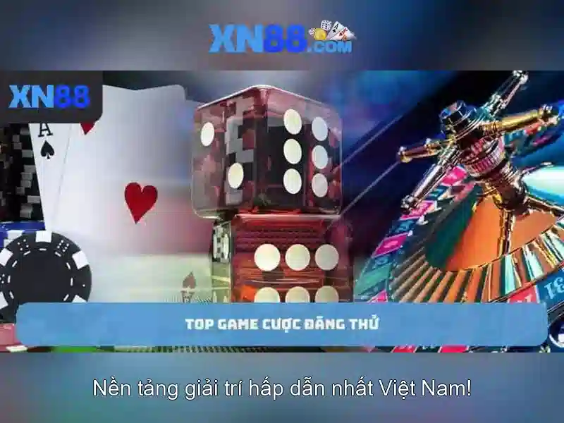 phap-ly-va-rui-ro