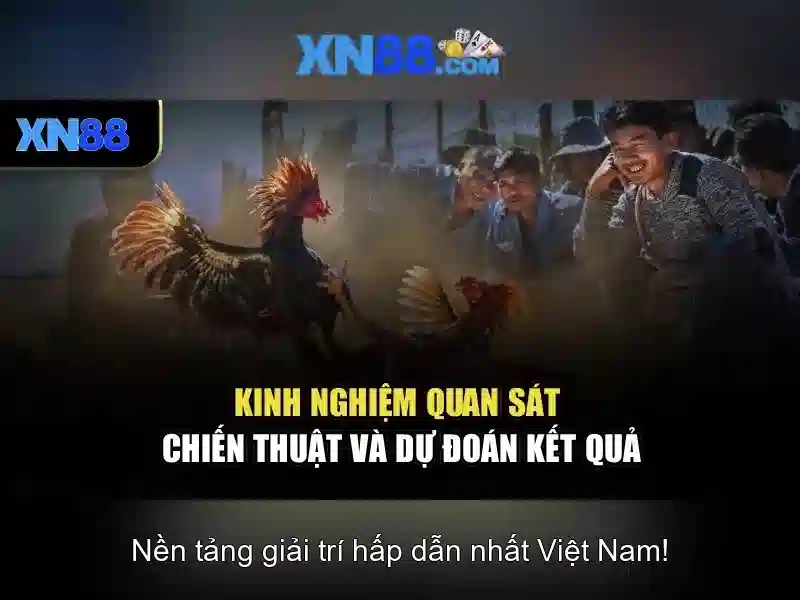Cách đăng ký và bắt đầu