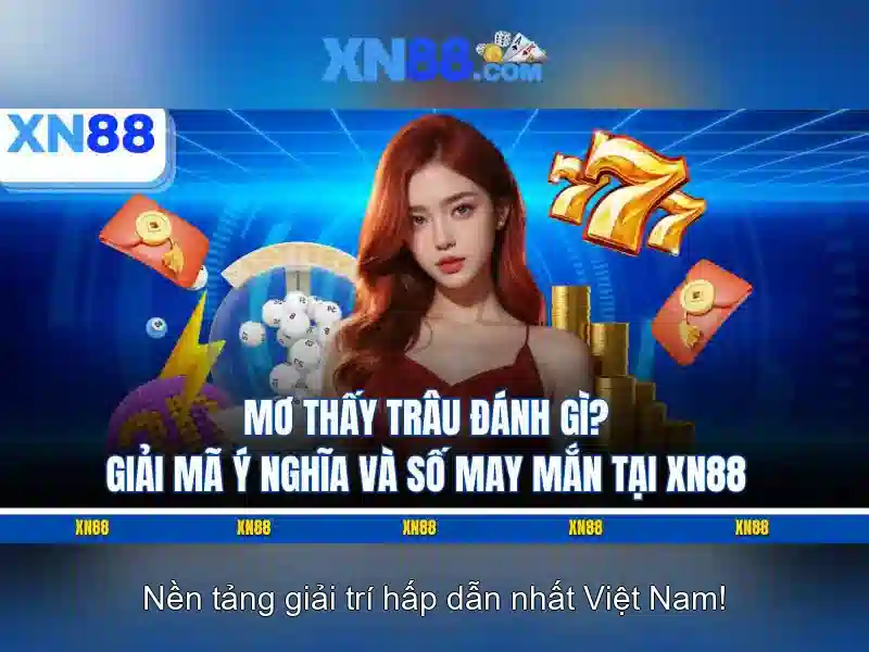 Giới thiệu về xn88