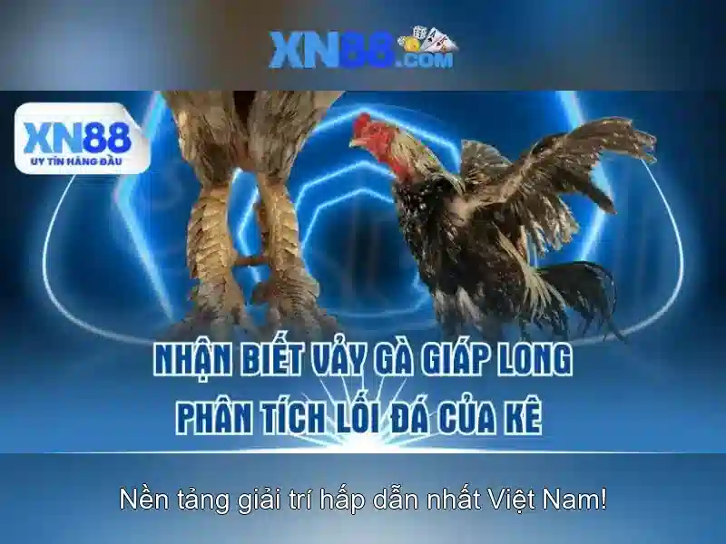 Bảo mật thanh toán và an toàn cho người chơi