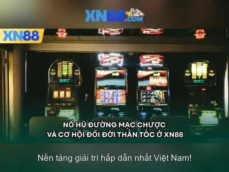 Trải nghiệm người dùng