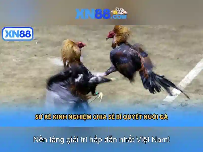 Những đặc điểm nổi bật