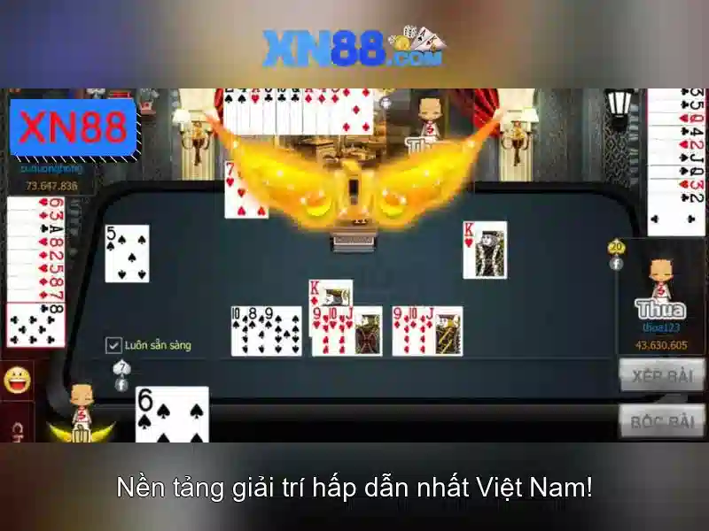 Hỗ trợ khách hàng và thông tin liên hệ