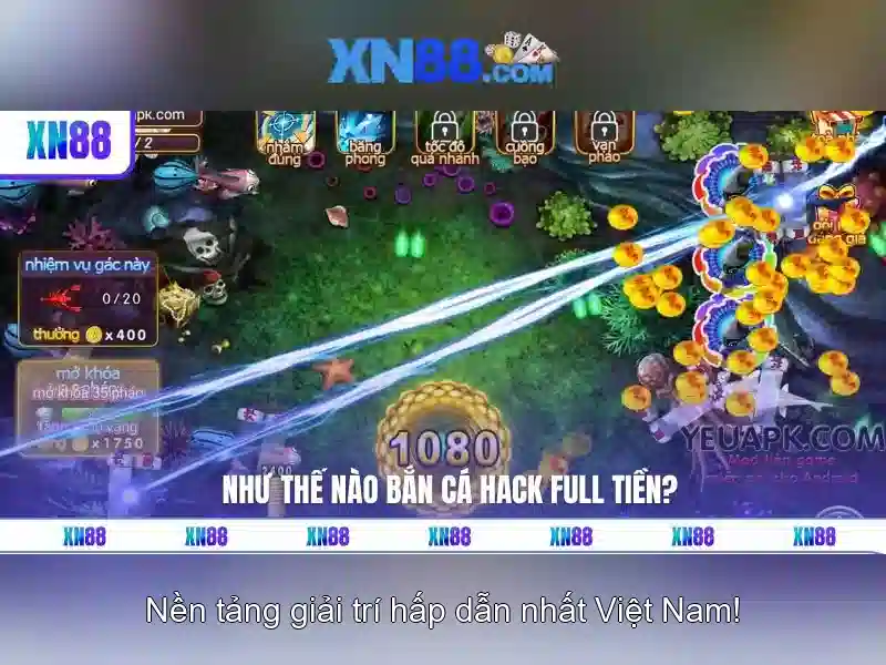 An toàn và trách nhiệm khi tham gia