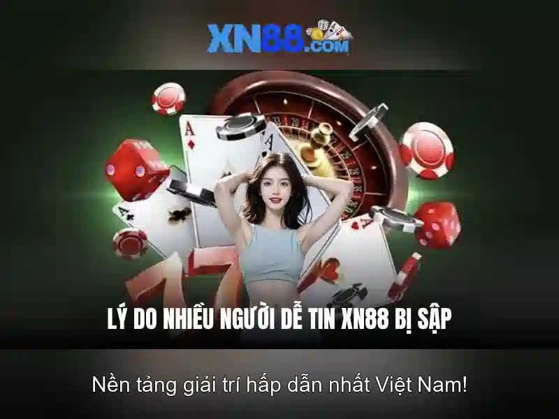 Nền tảng và chức năng