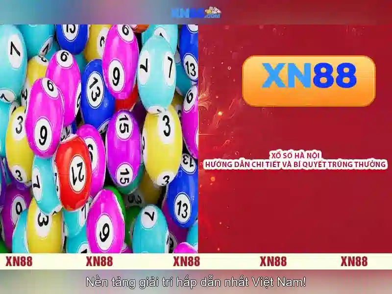 Hỗ trợ khách hàng và chính sách